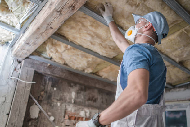 Best Specialized Insulation Services in Madisonville, TN
