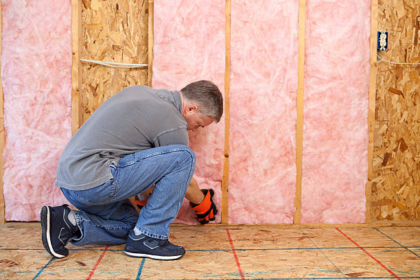 Best DIY Insulation Kits and Guidance in Madisonville, TN