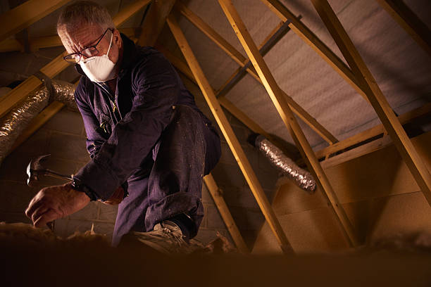 Best Energy Efficiency Insulation in Madisonville, TN