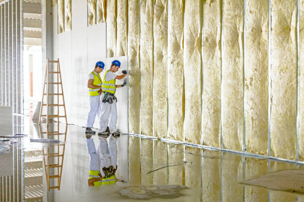 Best Geographic-Specific Insulation Services in Madisonville, TN